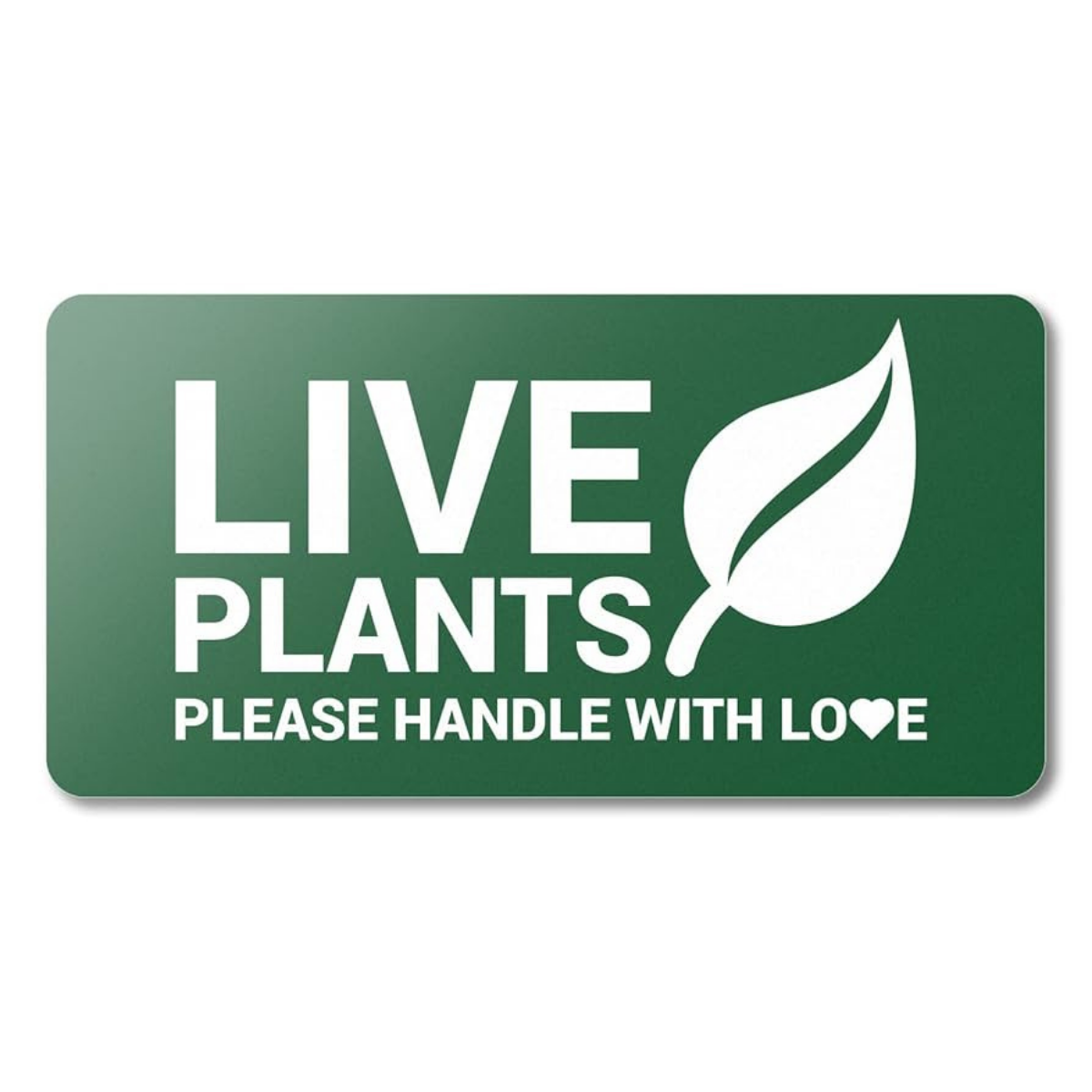 The Ultimate Guide to Custom Plant Care Labels