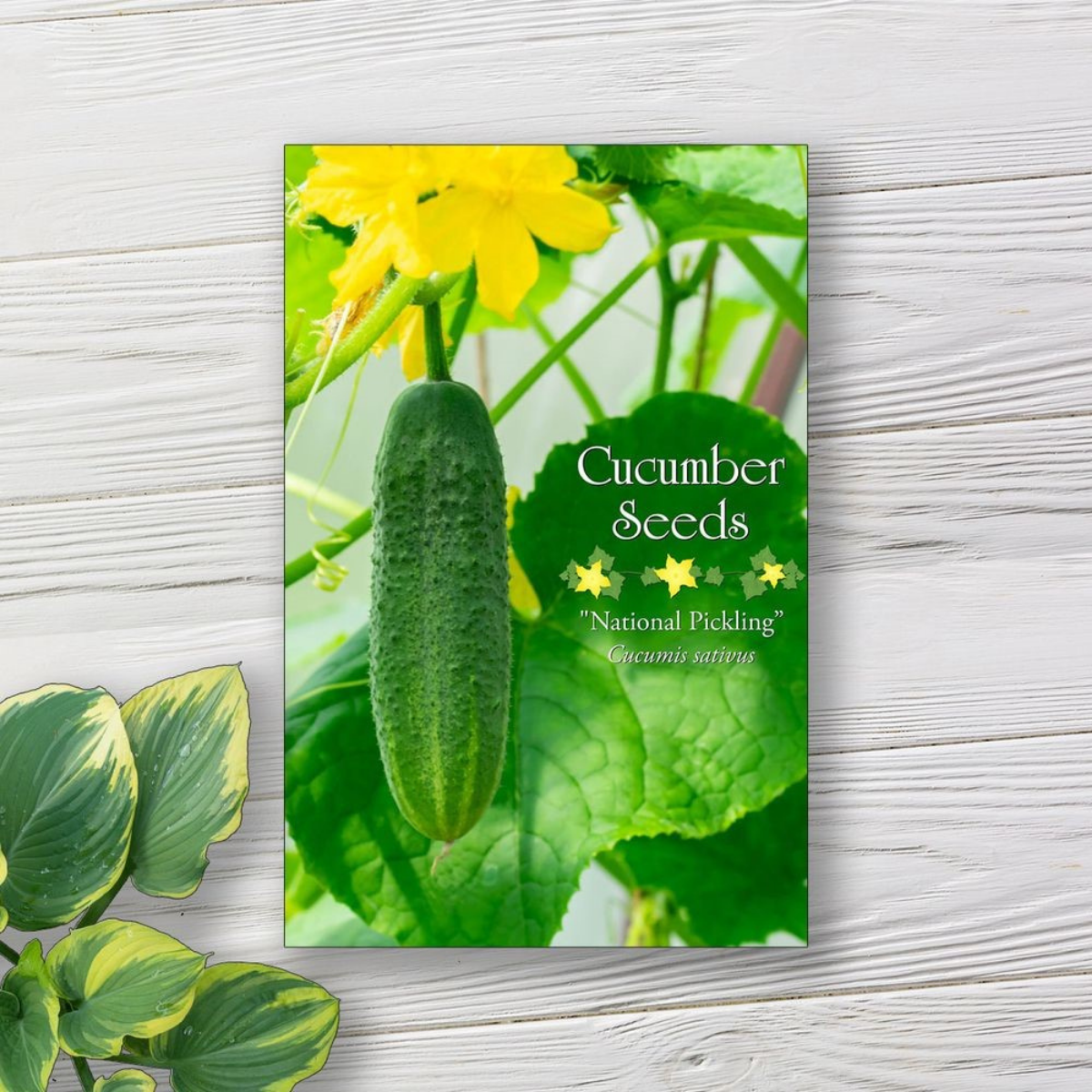 Custom Seed Packet Labels: Templates, Ideas, and Expert Tips